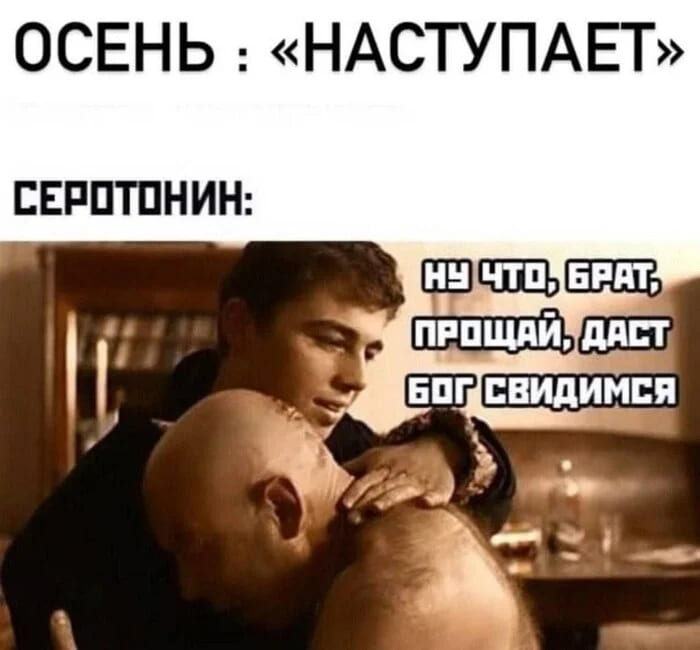 *ОСЕНЬ «НАСТУПАЕТ»*
Серотонин: Ну что, брпт, прощай, даст Бог свидимся