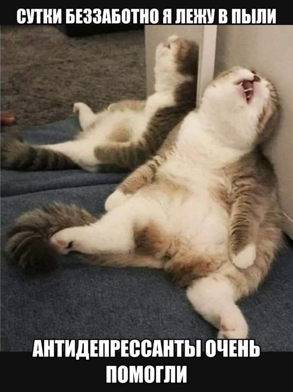 Сутки беззаботно я лежу в пыли
Антидепрессанты очень сильно помогли.