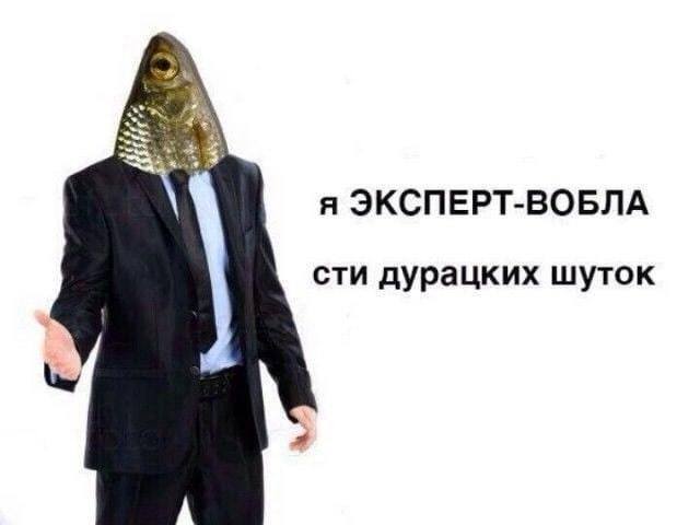 *Я ЭКСПЕРТ-ВОБЛАсти дурацких шуток*