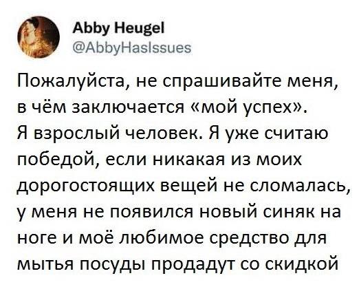 Пожалуйста, не спрашивайте меня, в чём заключается «мой успех». Я взрослый человек. Я уже считаю победой, если никакая из моих дорогостоящих вещей не сломалась, у меня не появился новый синяк на ноге и моё любимое средство для мытья посуды продадут со скидкой.