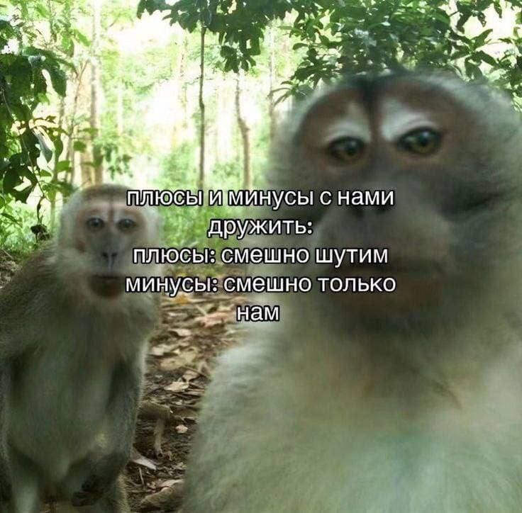 Плюсы и минусы с нами дружить.
Плюсы: смешно шутим.
Минусы: смешно только нам.
