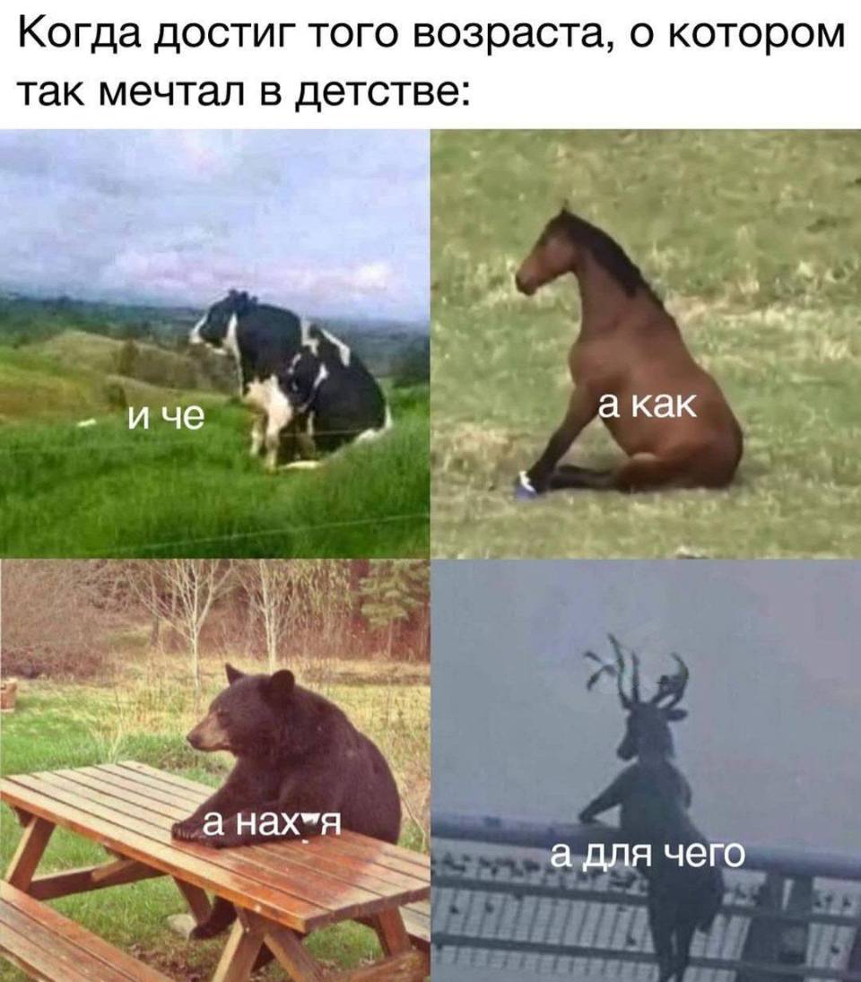 Когда достиг того возраста, о котором так мечтал в детстве:
– И чё...
– А как...
– А нах*я...
– А для чего...