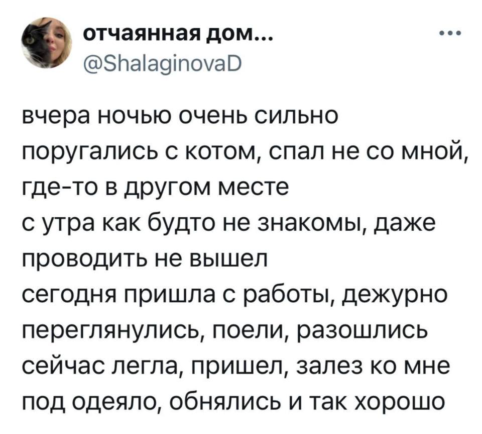 Вчера ночью очень сильно поругались с котом, спал не со мной‚ где-то в другом месте с утра как будто не знакомы, даже проводить не вышел сегодня пришла с работы, дежурно переглянулись, поели, разошлись сейчас легла, пришел, залез ко мне под одеяло, обнялись и так хорошо.