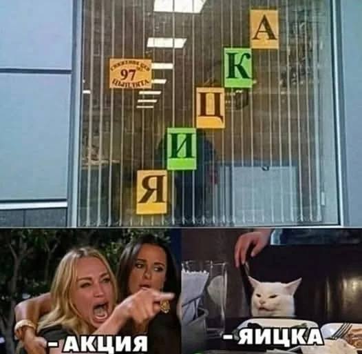 *АКЦИЯ | ЯИЦКА*
– АКЦИЯ!
– ЯИЦКА!
