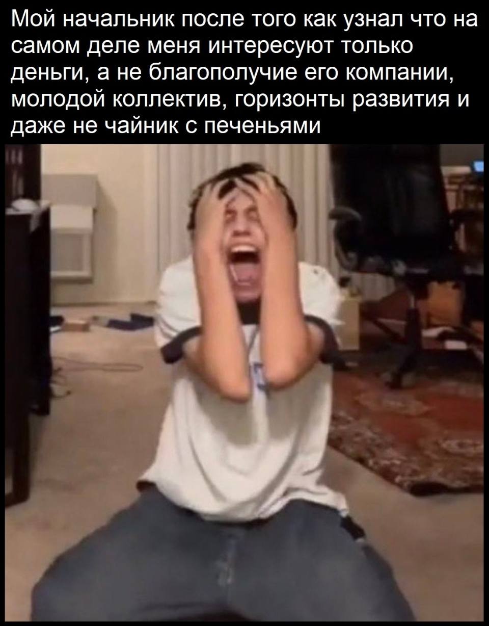 Мой начальник, после того, как узнал, что на самом деле меня интересуют только деньги, а не благополучие его компании. Молодой коллектив, горизонты развития и даже не чайник с печеньями.