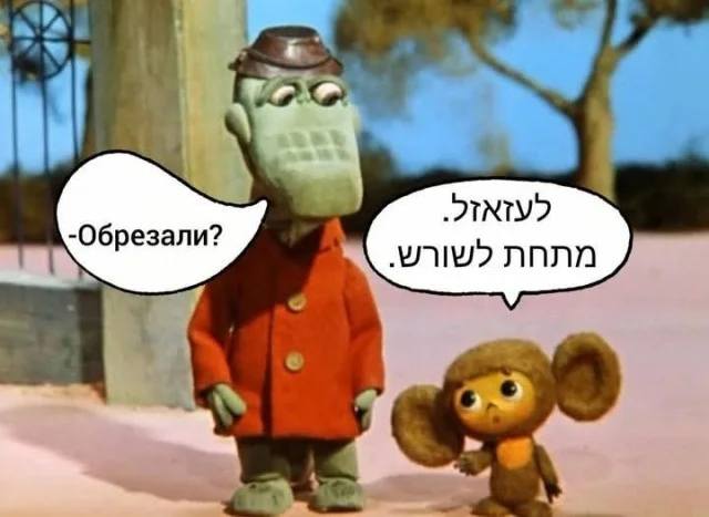 *Крокодил гена интересуется у Чебурашки по поводу обрезания*