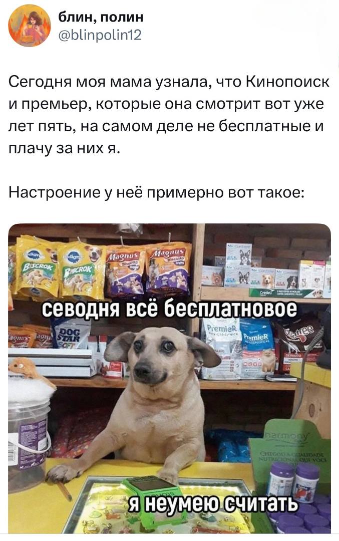 Сегодня моя мама узнала, что Кинопоиск и премьер, которые она смотрит вот уже лет пять, на самом деле не бесплатные и плачу за них я.
Настроение у неё примерно вот такое:
– Севодня всё бесплатное, я не умею считать...