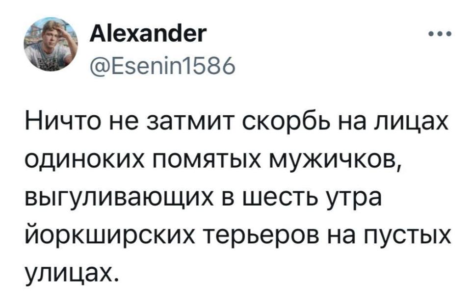 Ничто не затмит скорбь на лицах одиноких помятых мужичков, выгуливающих в шесть утра йоркширских терьеров на пустых улицах.