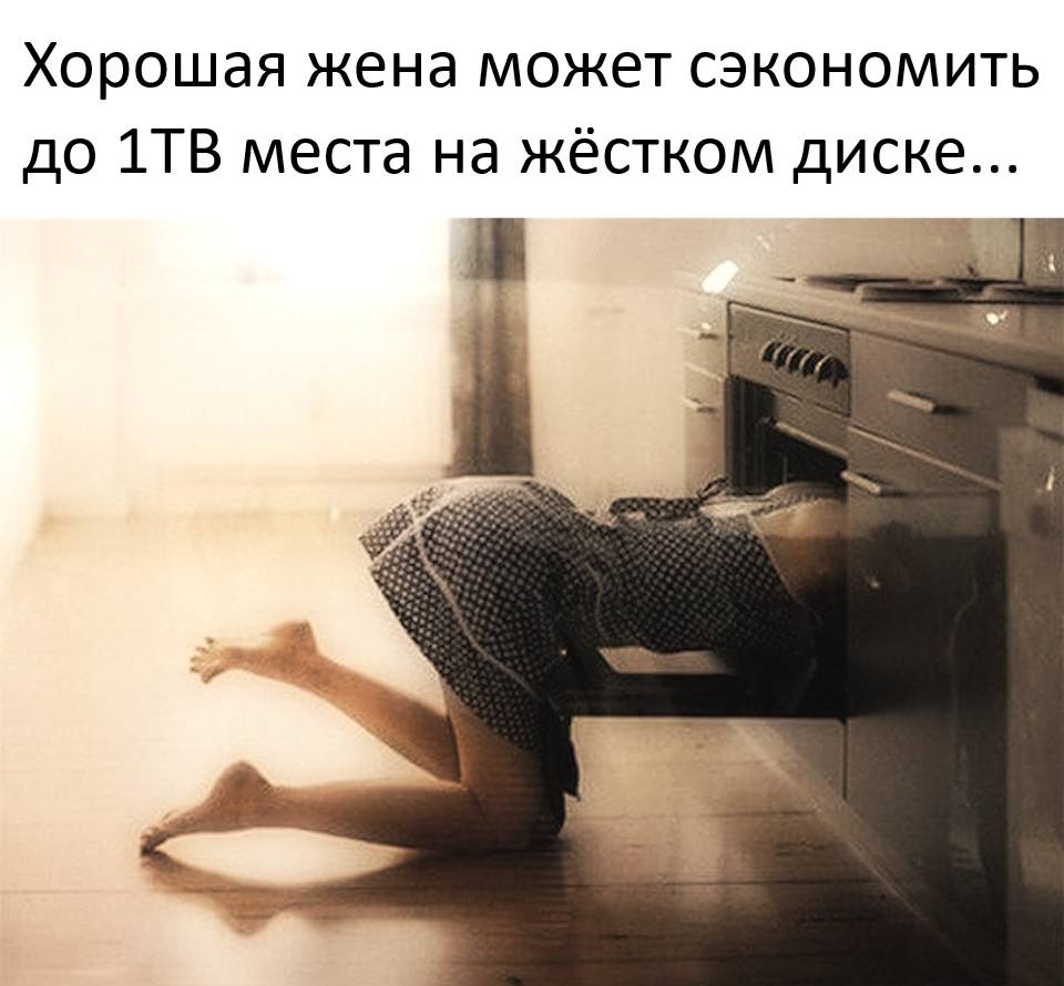 Хорошая жена может сэкономить до 1TB места на жёстком диске...