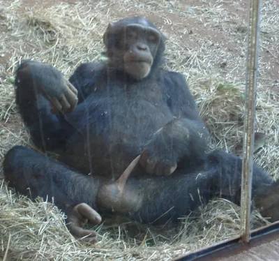 *Когда нашёл чем себя занять*