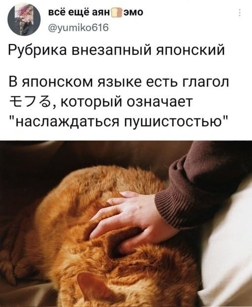 Рубрика внезапный японский. В японском языке есть глагол, который означает «наслаждаться пушистостью».

モフる (мофуру) — глагол на японском языке, который означает «наслаждаться пушистостью».
