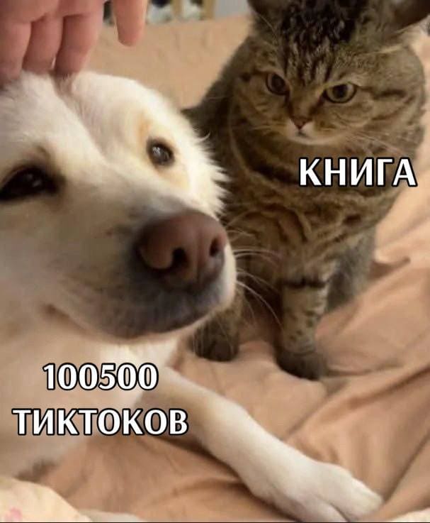 *Книга и 1500 тик токов*