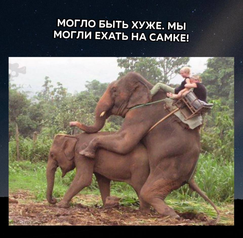 *МОГЛО БЫТЬ ХУЖЕ. МЫ МОГЛИ ЕХАТЬ НА САМКЕ!*