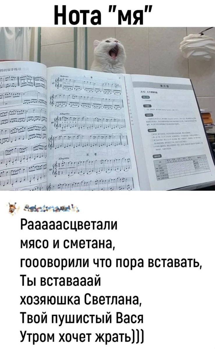 Нота «Мя»
Рааааасцветали
мясо и сметана,
гоооворили что пора вставать,
Ты вставааай
хозяюшка Светлана,
Твой пушистый Вася
Утром хочет жрать)))
