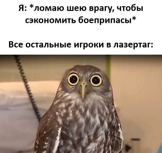 Я: *ломаю шею врагу, чтобы сэкономить боеприпасы*
*Все остальные игроки в лазертаг*