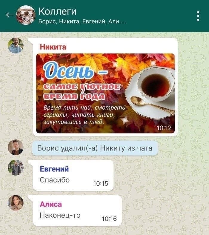 Рабочий чат (Коллеги: Борис, Никита, Евгений, Али...)
Никита:
– Осень — самое уютное время года! Врем; пить чай, смотреть сериалы, читать книги, закутавшись в плед.
*Борис удалил(-а) Никиту из чата*
Евгений:
– Спасибо.
Алиса:
– Наконец-то.