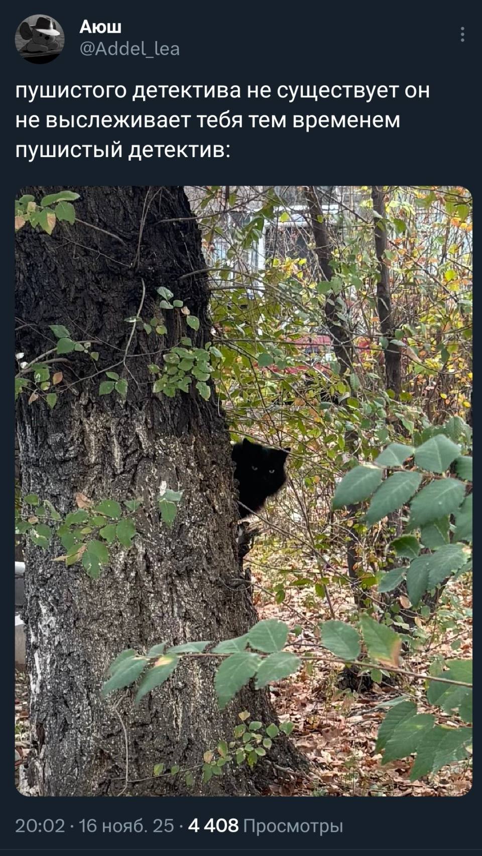 *Пушистого детектива не существует, он не выслеживает тебя, тем временем пушистый детектив*
