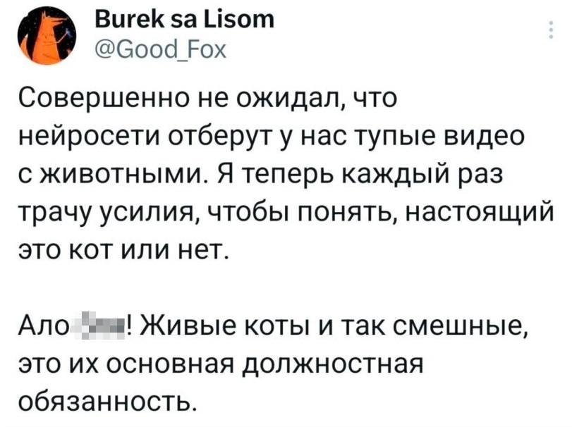 Совершенно не ожидал, что нейросети отберут у нас тупые видео с животными. Я теперь каждый раз трачу усилия, чтобы понять, настоящий это кот или нет.
Ало! Живые коты и так смешные, это их основная должностная обязанность.