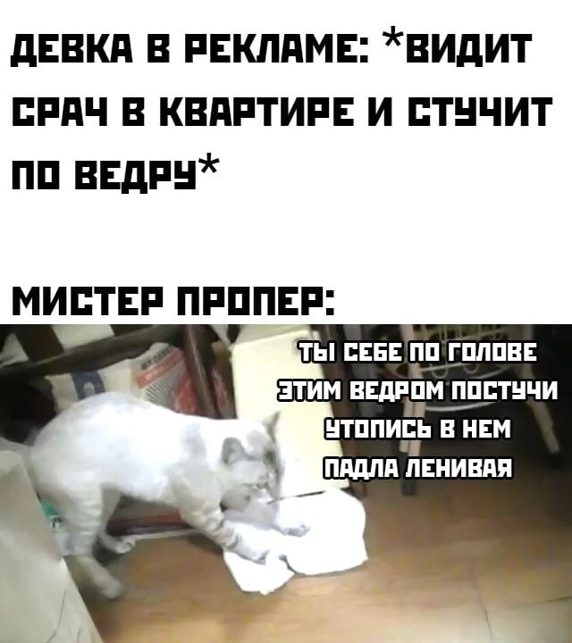 Девка в рекламе: *Видит срач в квартире и стучит по ведру*
Мистер Проппер: Ты себе по голове этим ведром постучи! Утопись в нём, падла ленивая!