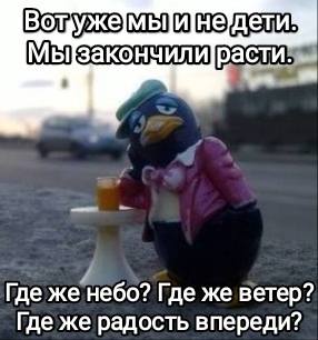Вот уже мы и не дети.
Мы закончили расти,
Где же небо? Где же ветер?
Где же радость впереди?