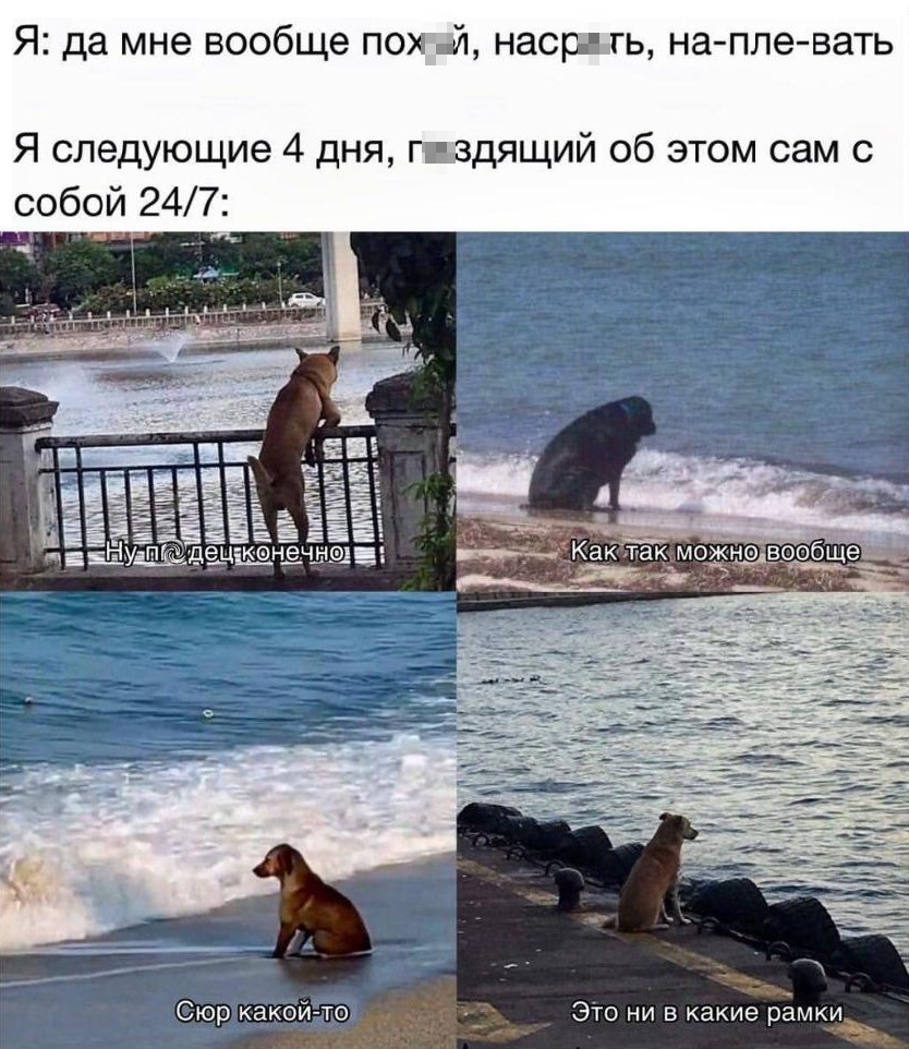 Я: да мне вообще пох*й, насрать, на-пле-вать...
*Я следующие 4 дня, п*здящий об этом сам с собой 24/7*