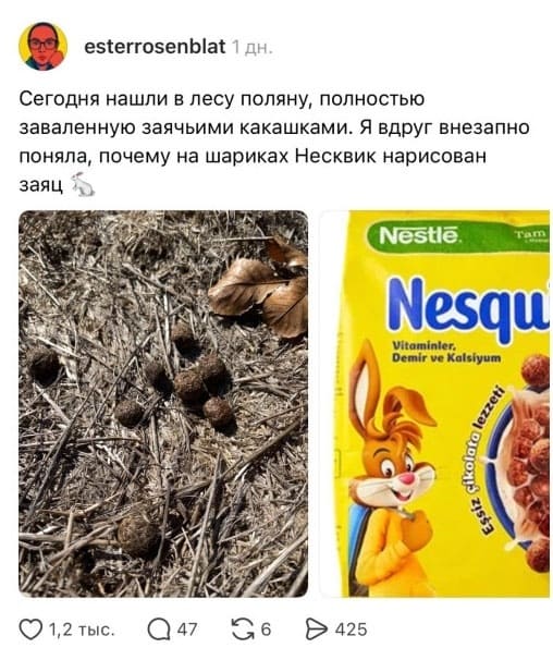 Сегодня нашли в лесу поляну, полностью заваленную заячьими какашками. Я вдруг внезапно поняла, почему на шариках Несквик нарисован заяц.