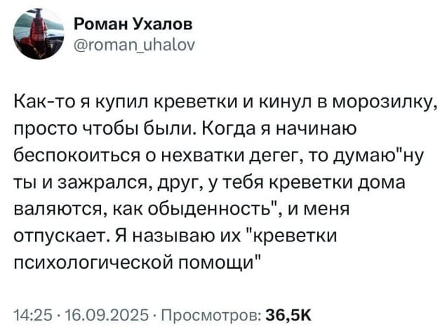 Как-то я купил креветки и кинул в морозилку, просто чтобы были. Когда я начинаю беспокоиться о нехватки денег, то думаю «ну ты и зажрался, друг, у тебя креветки дома валяются, как обыденность», и меня отпускает. Я называю их «креветки психологической помощи».