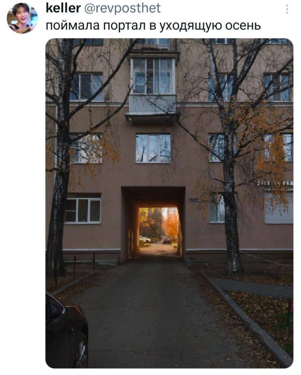 *Поймала портал в уходящую осень*