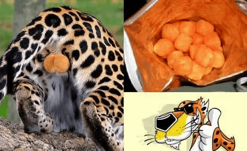 *Честер любит Cheetos (Читос)*