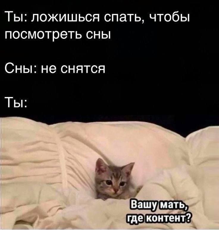 Ты: ложишься спать, чтобы посмотреть сны.
Сны: *не снятся*
Ты: вашу мать где контент?!