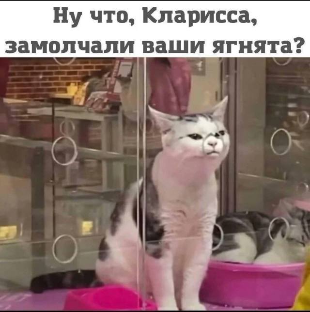 Ну что, Кларисса, замолчали ваши ягнята?