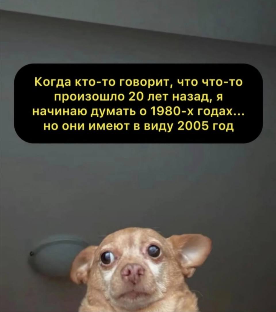 *Когда кто-то говорит, что что-то произошло 20 лет назад, я начинаю думать о 1980-х годах... но они имеют в виду 2005 год*
