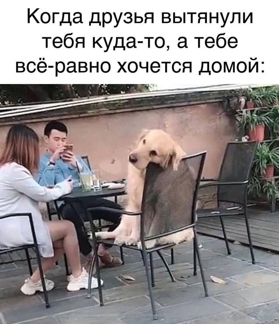 *Когда друзья вытянули тебя куда-то, а тебе всё-равно хочется домой*