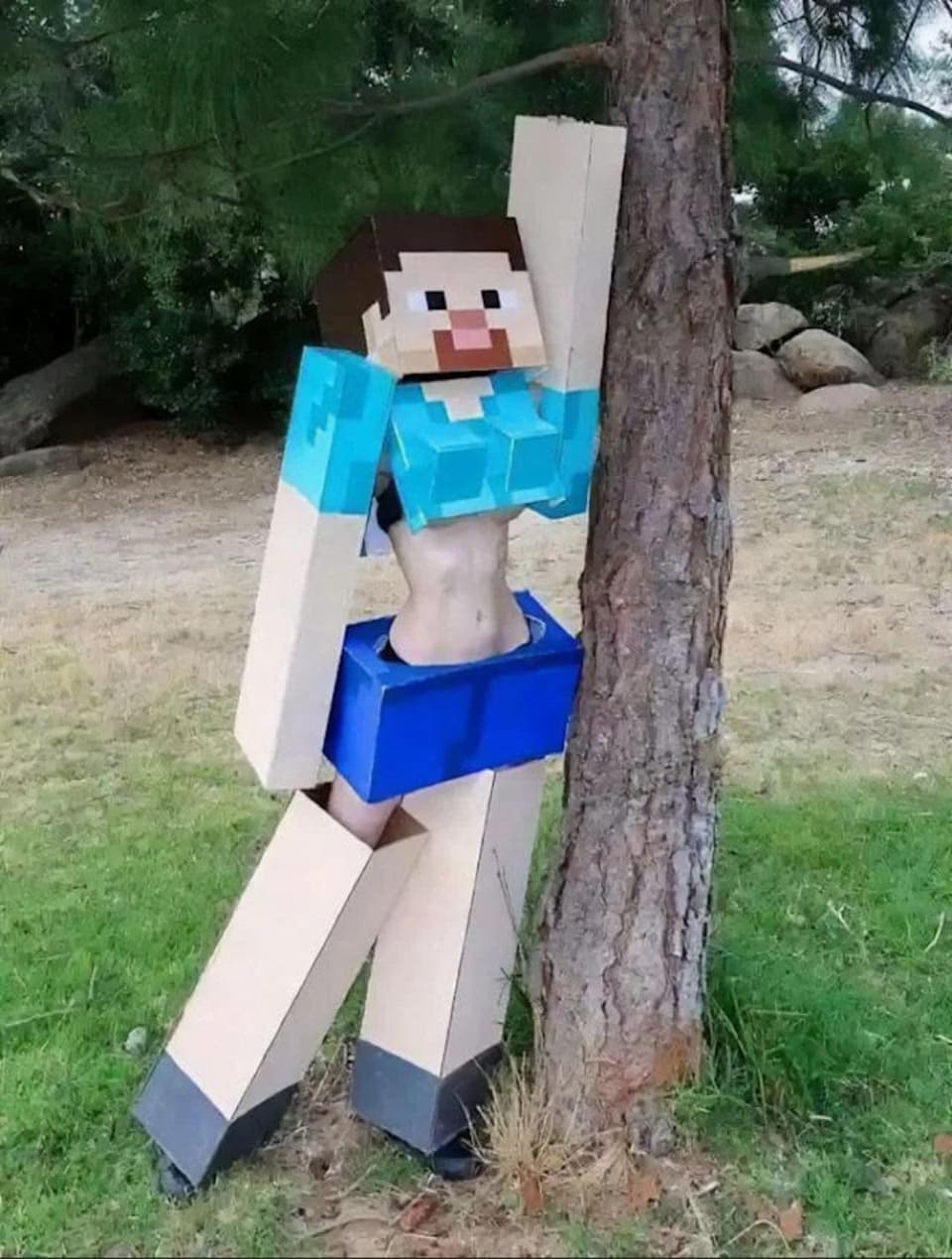 *Я тоже фанатка Minecraft*