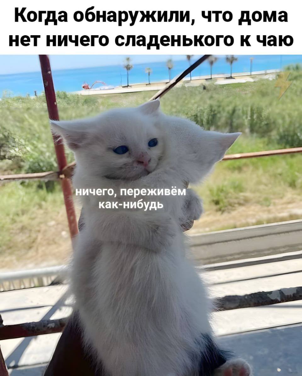 *Когда обнаружили, что дома нет ничего сладенького к чаю*
*Ничего, переживём как-нибудь*