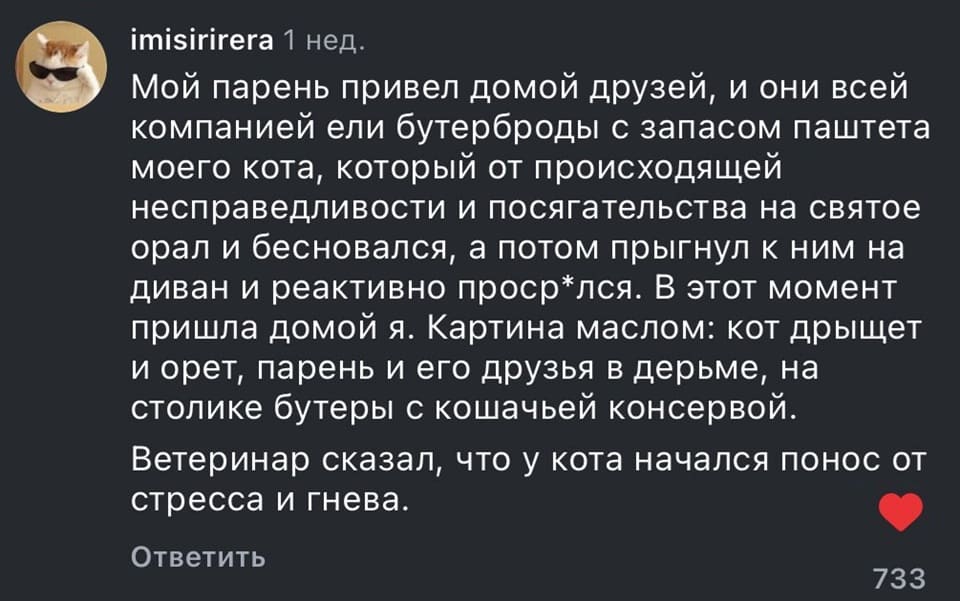Мой парень привёл домой друзей, и они всей компанией ели бутерброды с запасом паштета моего кота, который от происходящей несправедливости и посягательства на святое орал и бесновался, а потом прыгнул к ним на диван и реактивно проср*лся. В этот момент пришла домой я. Картина маслом: кот дрыщет и орет, парень и его друзья в дерьме, на столике бутеры с кошачьей консервой. Ветеринар сказал, что у кота начался понос от стресса и гнева.