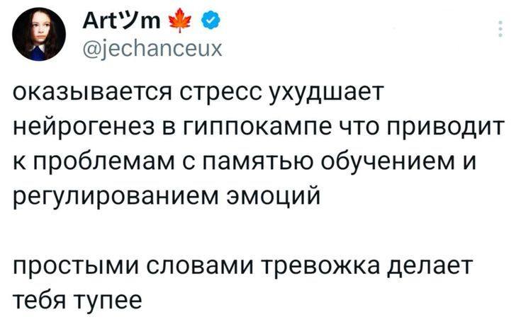 Оказывается стресс ухудшает нейрогенез в гиппокампе что приводит к проблемам с памятью обучением и регулированием эмоций простыми словами тревожка делает тебя тупее.