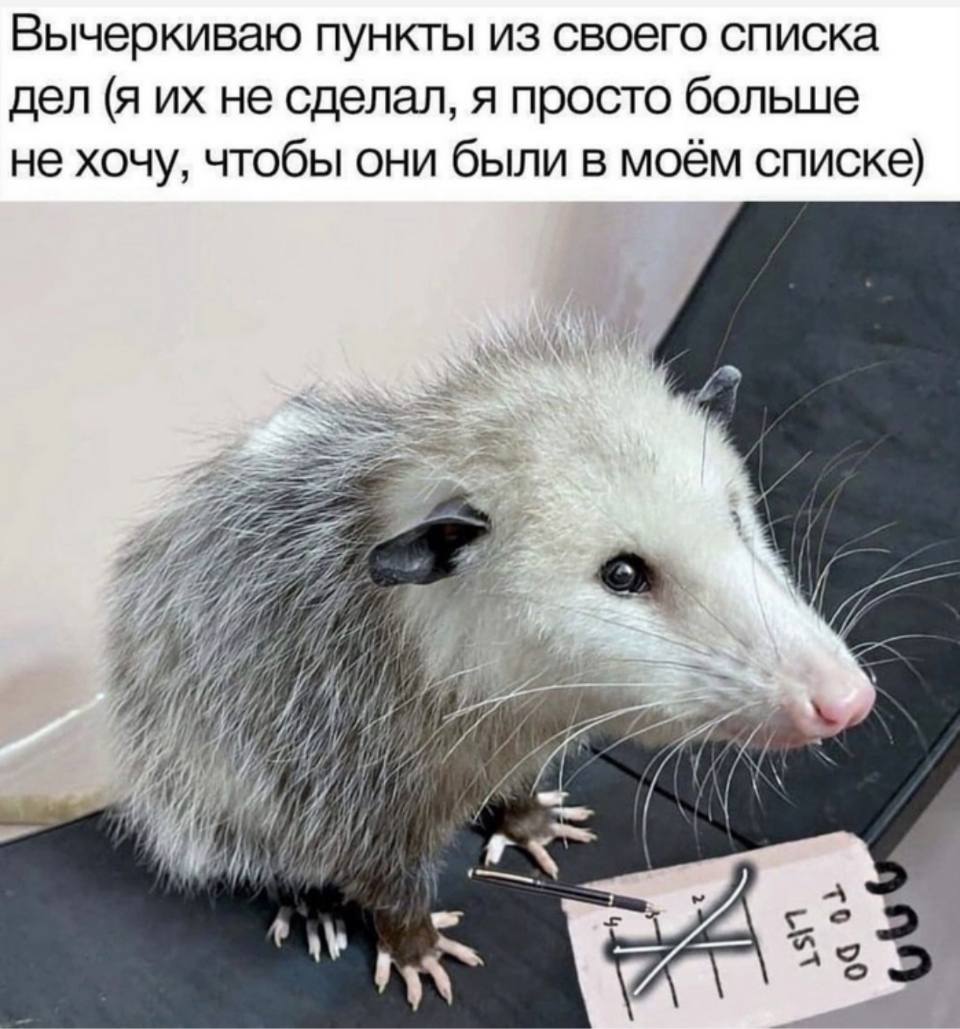 *Вычёркиваю пункты из своего списка дел (я их не сделал, я просто больше не хочу, чтобы они были в моём списке)*