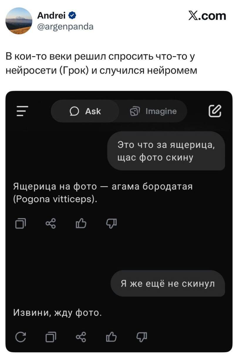 В кои-то веки решил спросить что-то у нейросети (Грок) и случился нейромем.
– Это что за ящерица, щас фото скину.
– Ящерица на фото — агама бородатая (Pogona vitticeps).
– Я же ещё не скинул.
– Извини, жду фото.