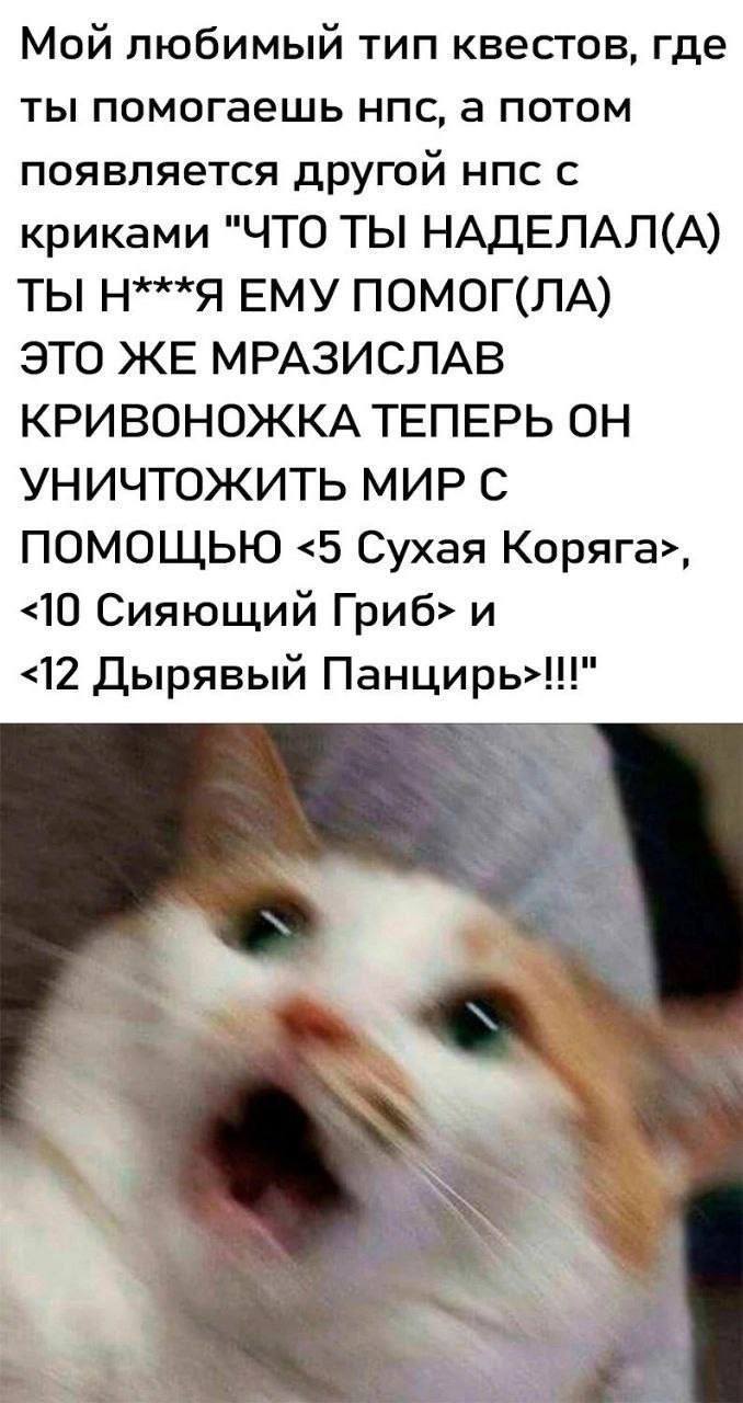 Мой любимый тип квестов, где ты помогаешь нпс, а потом появляется другой нпс с криками «ЧТО ТЫ НАДЕЛАЛ(А) ТЫ Н***Я ЕМУ ПОМОГ(ЛА) ЭТО ЖЕ МРАЗИСЛАВ КРИВОНОЖКА ТЕПЕРЬ ОН УНИЧТОЖИТЬ МИР С ПОМОЩЬЮ <5 Сухая Коряга>, <10 Сияющий Гриб> и <12 Дырявый Панцирь>!!!».