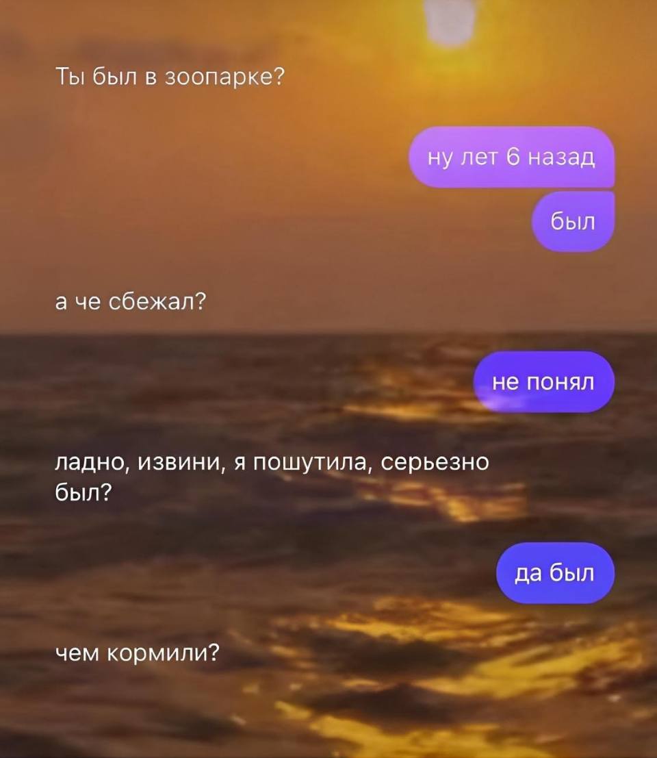 – Ты был в зоопарке?
– Ну лет 6 назад был.
– А че сбежал?
– Не понял.
– Ладно, извини, я пошутила, серьезно был?
– Да был.
– Чем кормили?