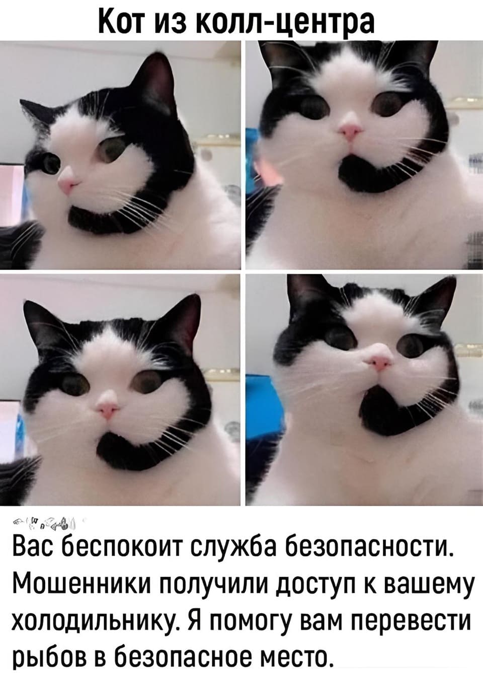 – Вас беспокоит служба безопасности. Мошенники получили доступ к вашему холодильнику. Я помогу вам перевести рыбов в безопасное место.