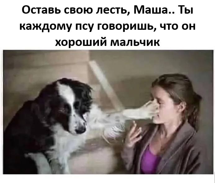 – Оставь свою лесть, Маша.. Ты каждому псу говоришь, что он хороший мальчик.
