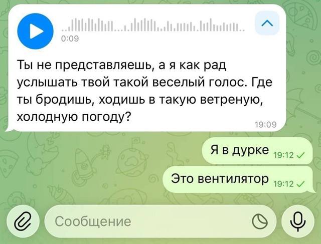 – Ты не представляешь, а я как рад услышать твой такой весёлый голос. Где ты бродишь, ходишь в такую ветреную, холодную погоду?
– Я в дурке. Это вентилятор.