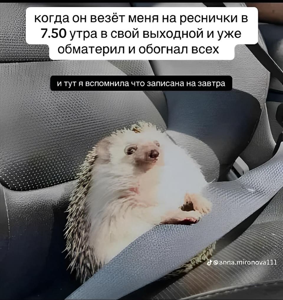 *Когда он везёт меня на реснички в 7.50 утра в свой выходной и уже обматерил и обогнал всех и тут я вспомнила что записана на завтра*