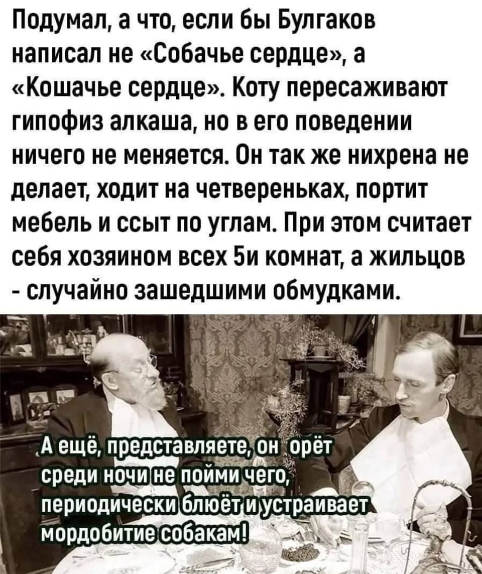 – Подумал, а что, если бы Булгаков написал не «Собачье сердце», а «Кошачье сердце». Коту пересаживают гипофиз алкаша, но в его поведении ничего не меняется. он так же нихрена не делает, ходит на четвереньках, портит мебель и ссыт по углам. При этом считает себя хозяином всех 5и комнат, а жильцов — случайно зашедшими обмудками.
– А ещё, представляете, он орёт среди ночи не пойми чего, периодически блюёт и устраивает мордобитие собакам!