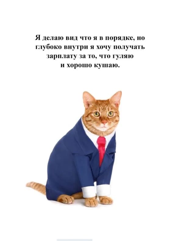 Я делаю вид что я в порядке, но глубоко внутри я хочу получать зарплату за то, что гуляю и хорошо кушаю.