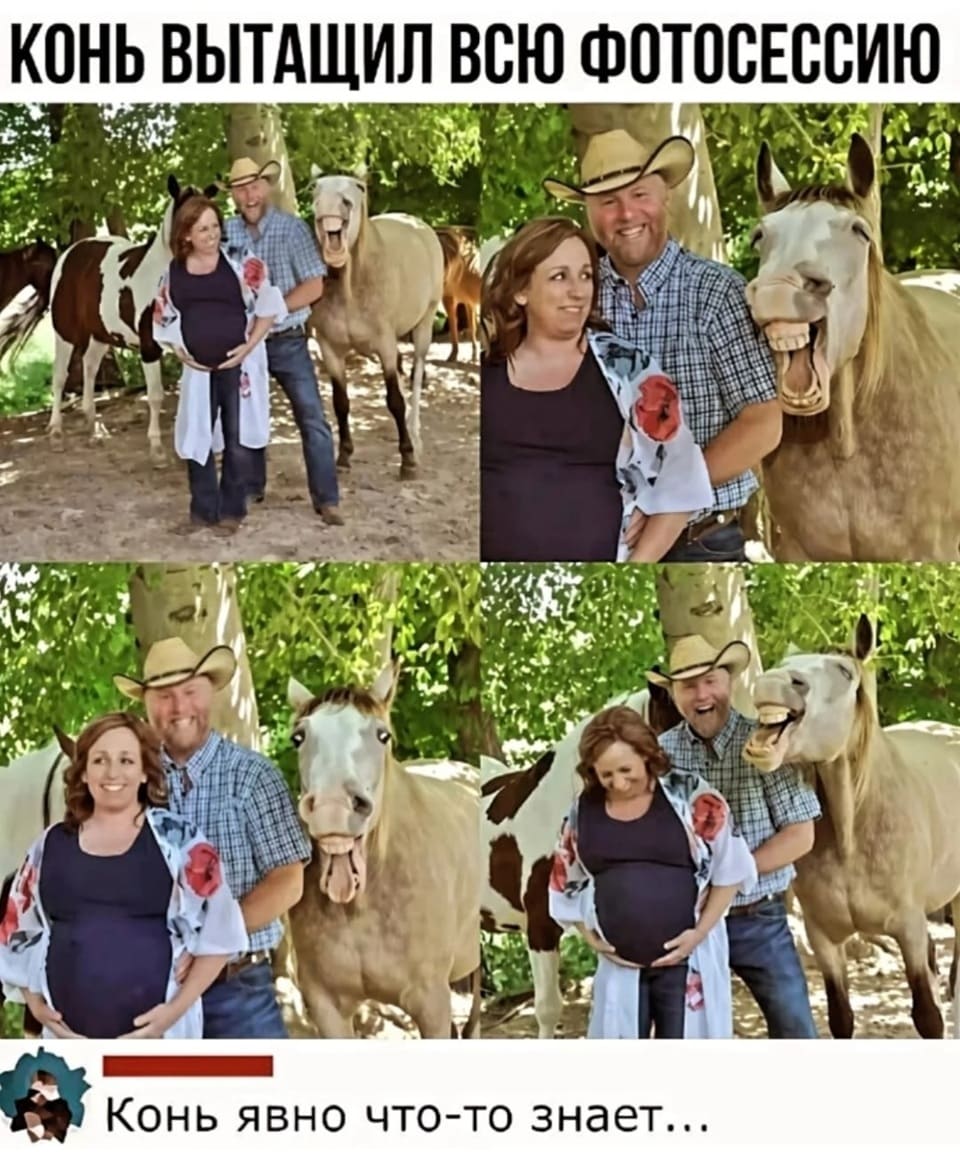 *КОНЬ ВЫТАЩИЛ ВСЮ ФОТОСЕССИЮ*
– Конь явно что-то знает...