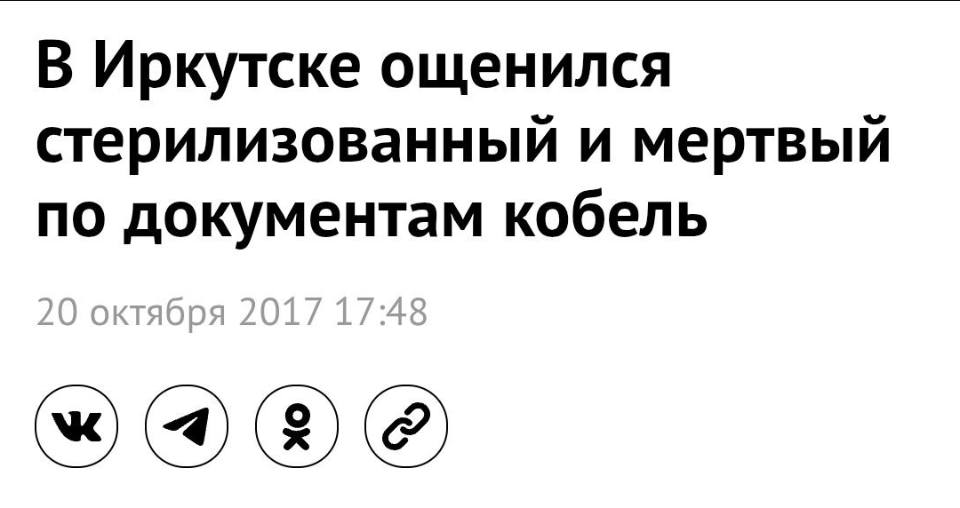В Иркутске ощенился стерилизованный и мёртвый по документам кобель.