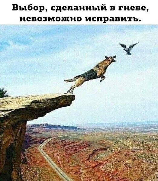 Выбор, сделанный в гневе, невозможно исправить.